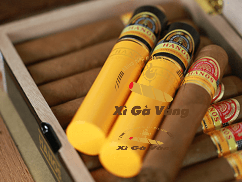 Xì Gà Vàng - địa chỉ quen thuộc của những tín đồ yêu thích xì gà hiện nay